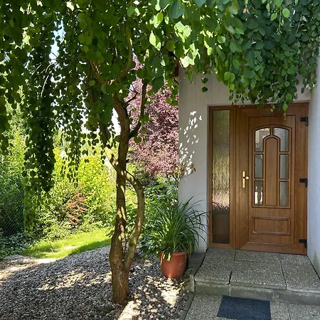 Lilie Guest house